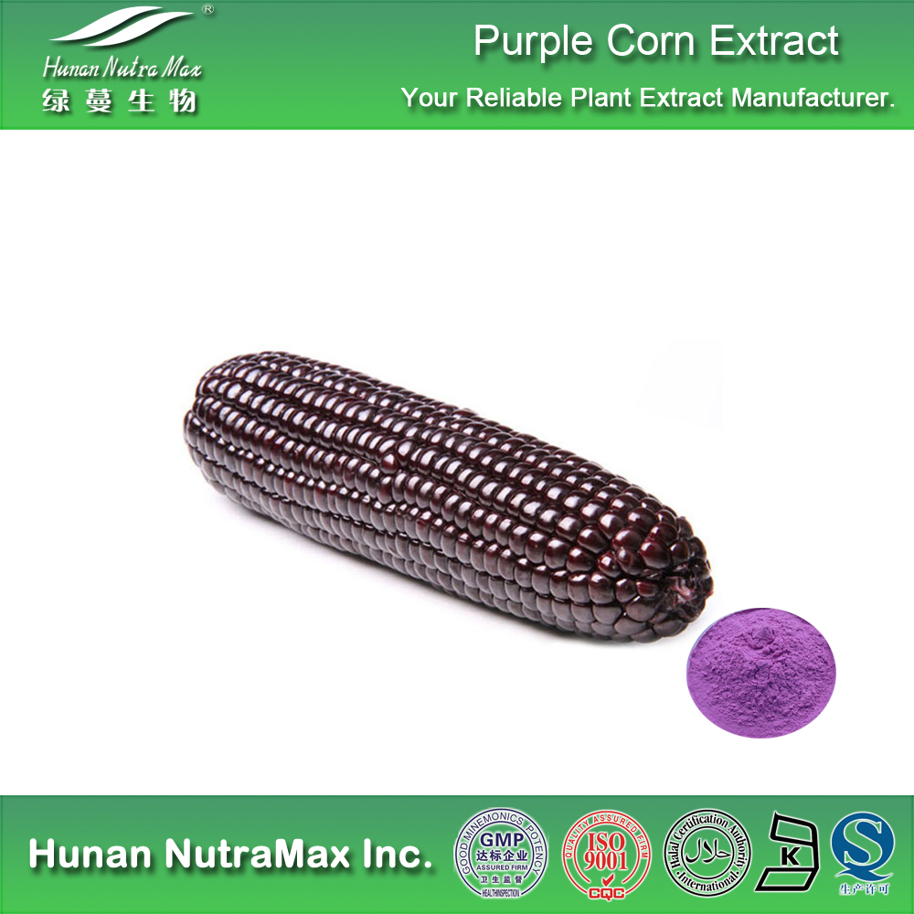 Top Quality Purple Corn Extract,Purple Corn Extract Powder,Purple Corn