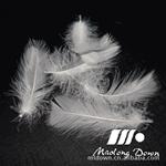 グレーアヒルの羽毛を洗浄2-8cm販売のための仕入れ・メーカー・工場