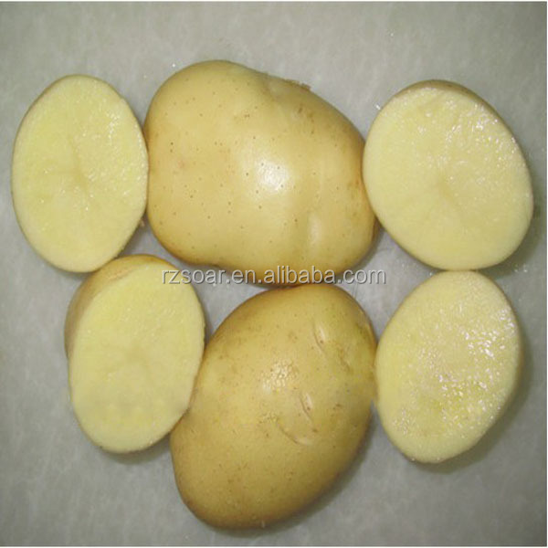 potato 10kg carton export to malaysia