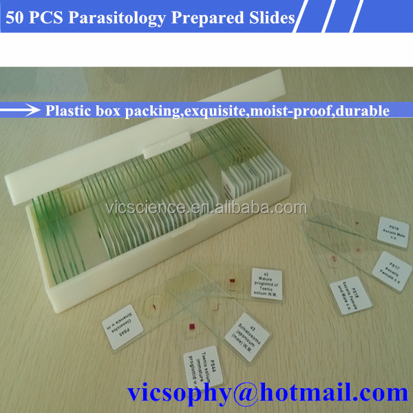 医療parasitology50個準備されたスライドセット問屋・仕入れ・卸・卸売り