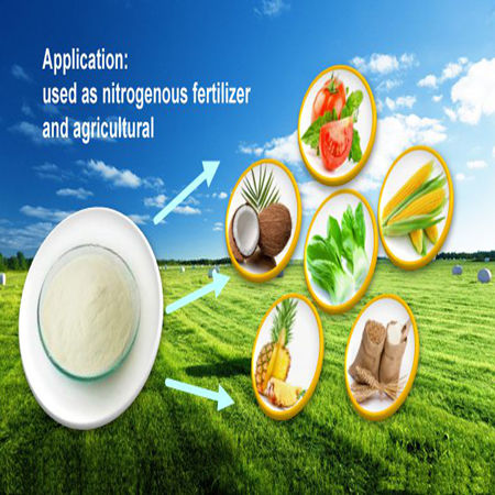 China's high quality cocoa powder
