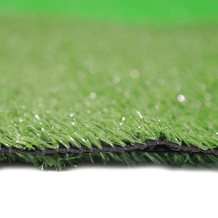 Catálogo de fabricantes de Esquí De Césped de alta calidad y Esquí De