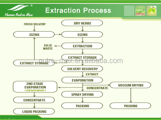  Extraction Process