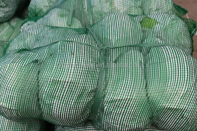 New Crop Chinese Cabbage Fresh Organic Cabbage - Good Supplier