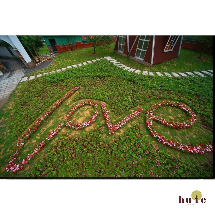 Hc人工甘い庭の草、結婚式の装飾仕入れ・メーカー・工場