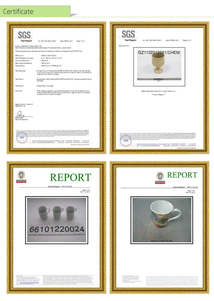 Certificate.jpg