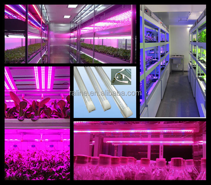 Led統合温室植物Hydroponics1.2M 18 ワット t8 チューブ led ストリップ ライト を育てる仕入れ・メーカー・工場
