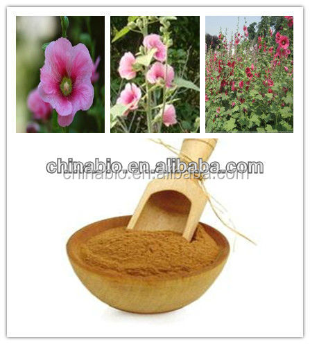 Top Quality Marshmallow Extract from GMP Manufacture