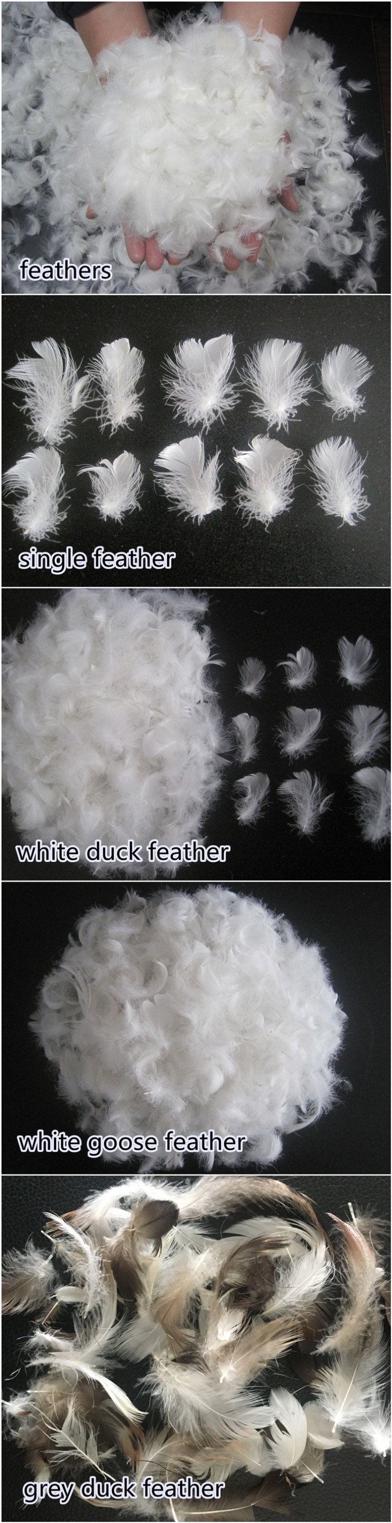 China Cheap Small White Duck Down Feathers For Sale 24cm Buy Feather