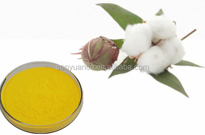 top quality 100% natrual cottonseed extract dl-g