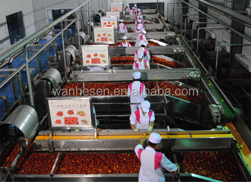 Tomato paste concentrate 36-38%