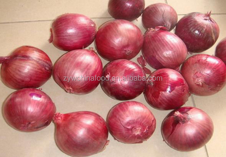 Fresh Red Onion Chinese Bulk Onion Hot Sale