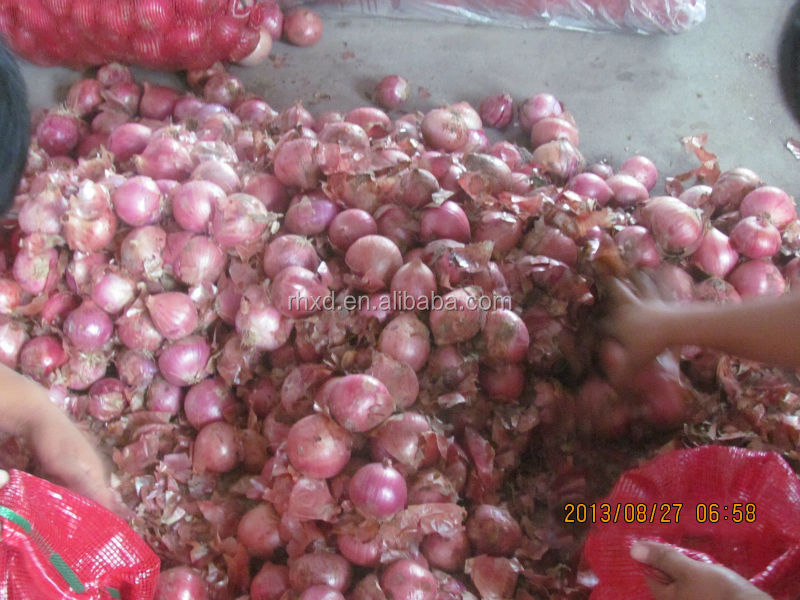 fresh onion 2014 red onion lowest price