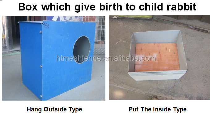 For rabbit mothers birth.png