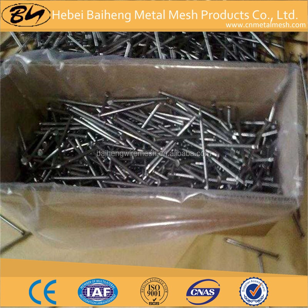 hengshui supplies common iron nail for sale