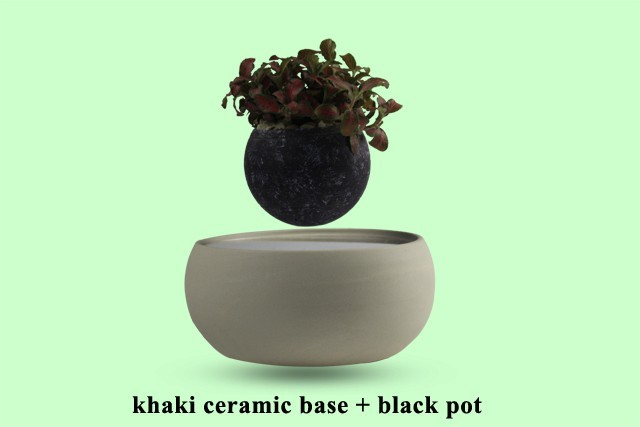 Vietnam bonsai shelf plastic bonsai pots fly in thre air