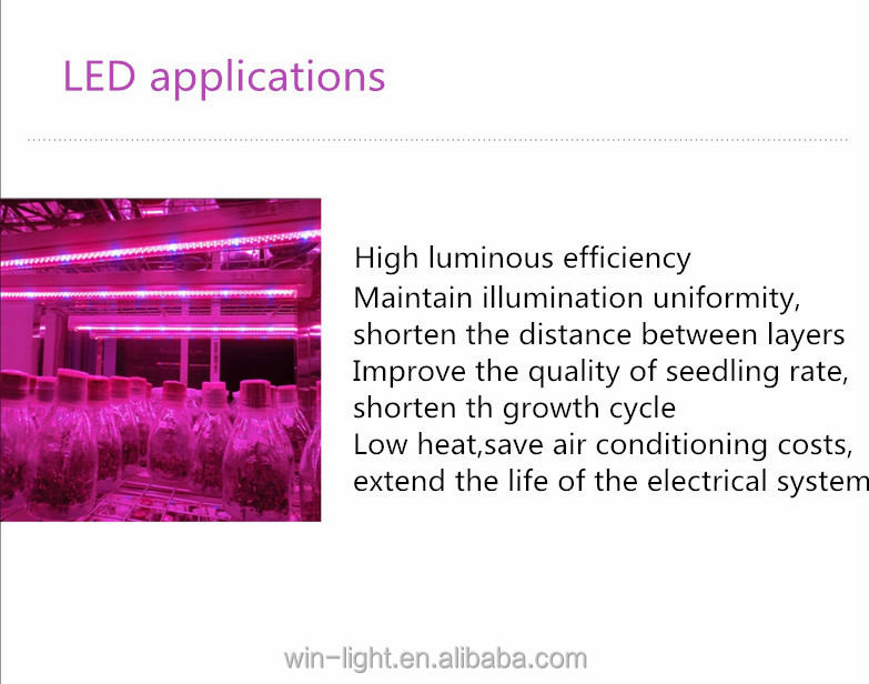 ledライト用のledが点灯し成長している製造生育した植物仕入れ・メーカー・工場