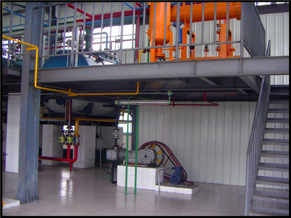 high efficient onion/cumin simmondsia chinensis/cinnamon/rhodiola rosea/ seed oil extract machine