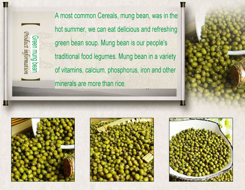 Dry high quality bulk green mung bean with a good price (Skype: live:wangqiudantt)