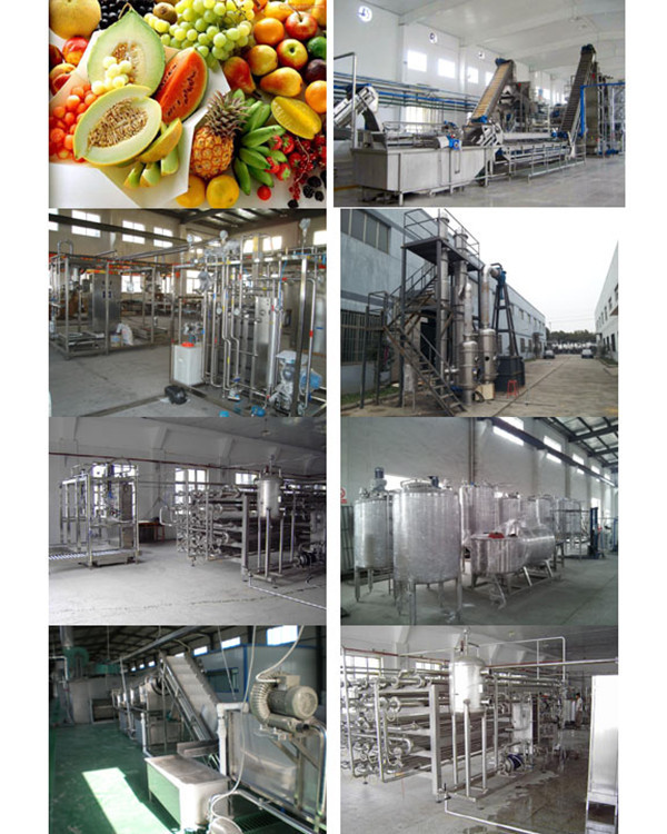 passion fruit juice machine/natural fruit juice production line