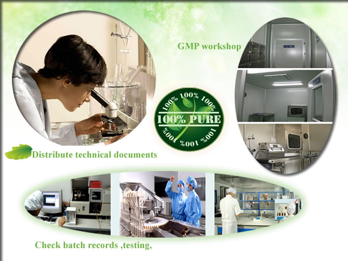green tea extract 98%, banaba tea extract, green tea extract powder 90 polyphenols