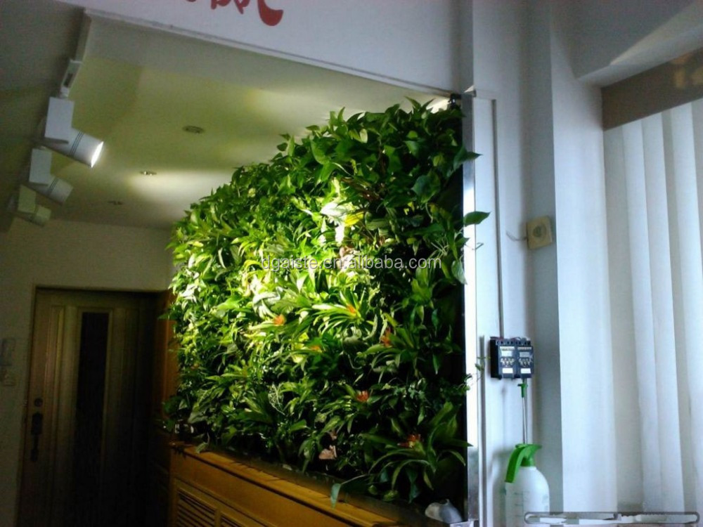 Indoor giardino verticale parete verde prezzo di fabbrica parete ... Giardino verticale artificiale