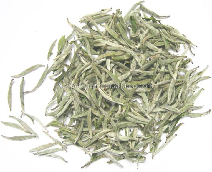 Samples Free White Tea Extract Tea Polyphenols 30%