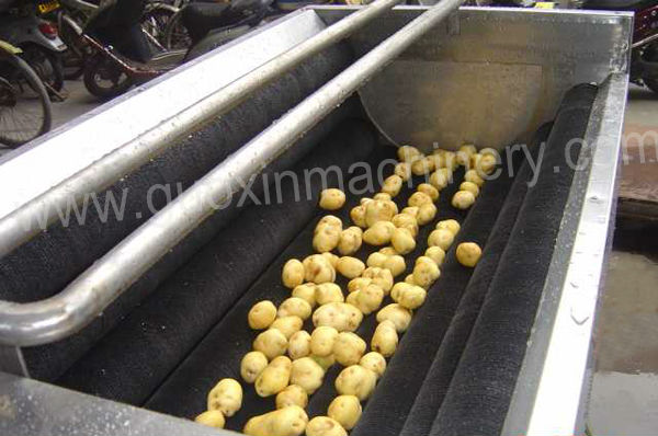 Good performance QPQX-4000 industrial brush fruit vegetable washing machine