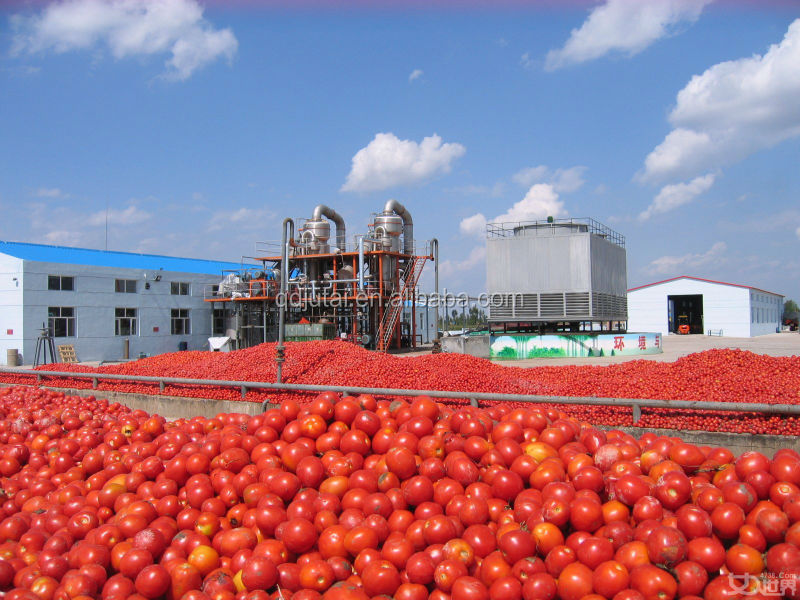 Best Price Of Tomato Paste In Drum