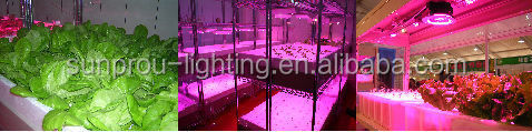 Popular hot selling global led grow light for greenhouse glass used