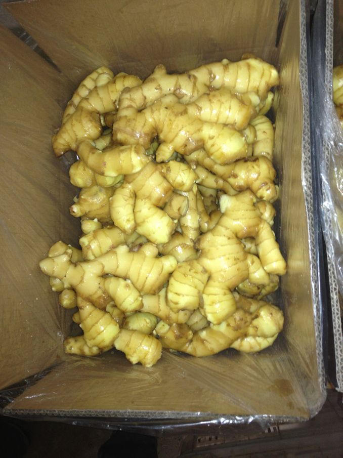 Semi-dry ginger fresh ginger China ginger