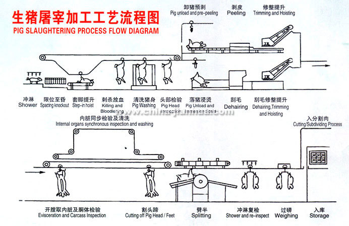 PIG Slaughter Process Flow.jpg
