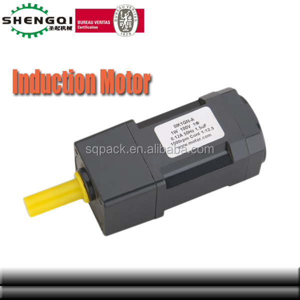 Induction Motor-3w.jpg