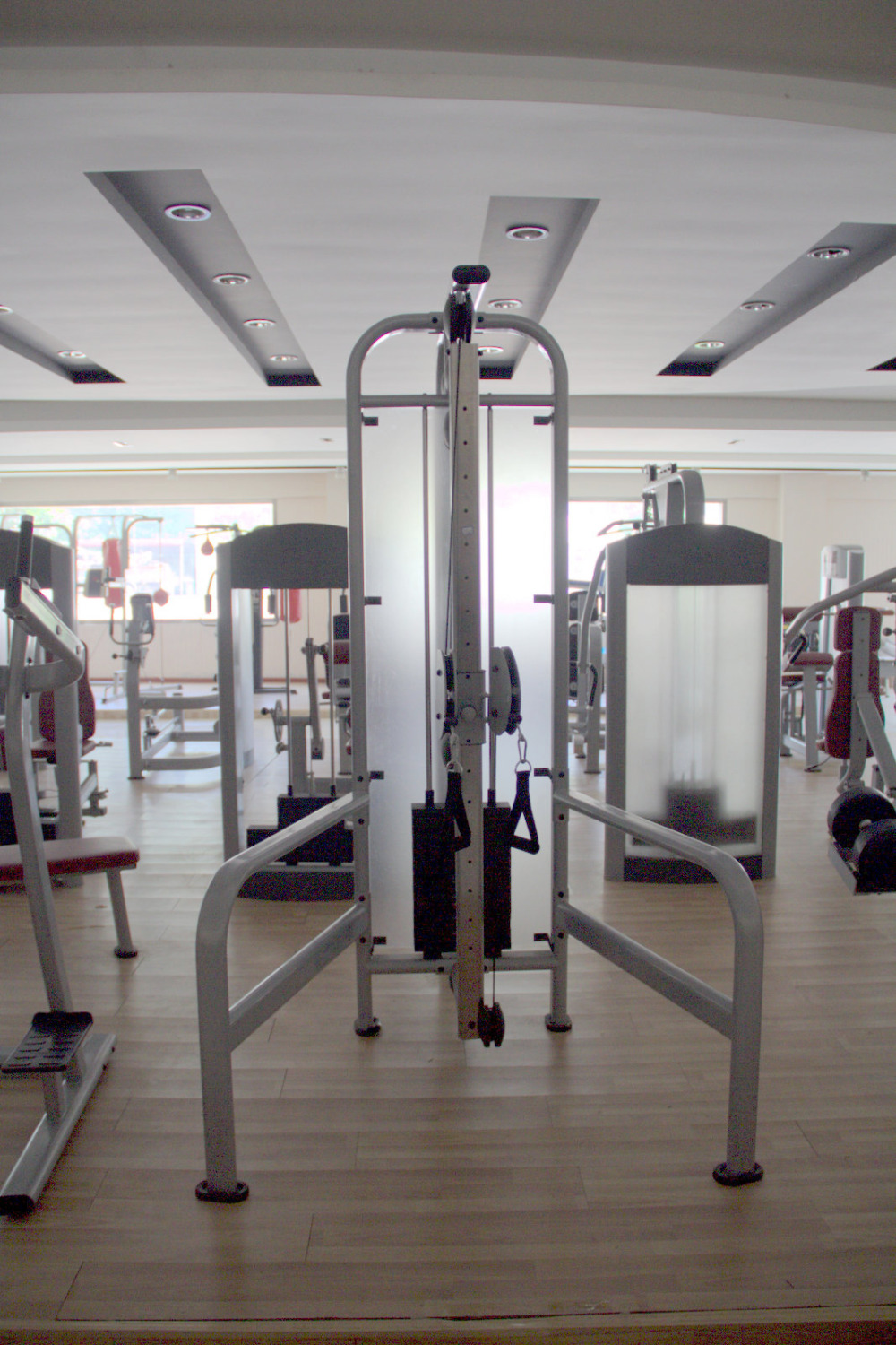 lifefitnessデュアルアジャスタブルプーリーマシンジム仕入れ・メーカー・工場