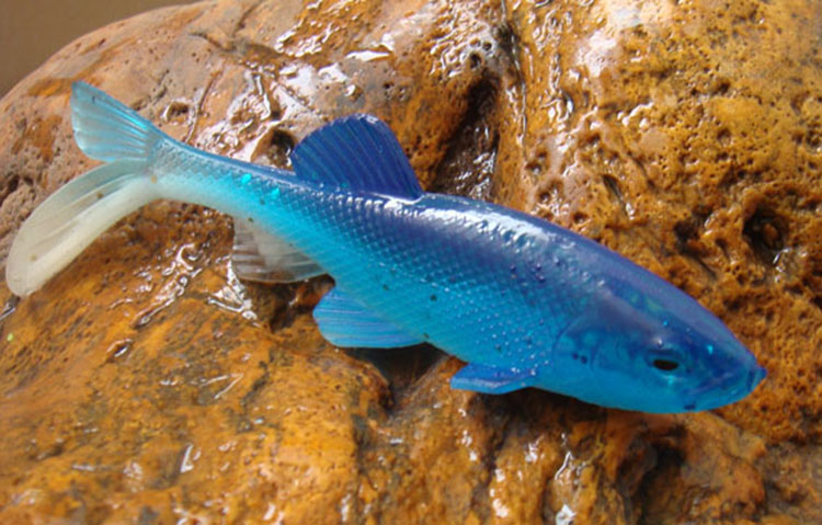 の魚のルアーソフトシリコンモールドの中国語の熱い販売の釣り餌仕入れ・メーカー・工場