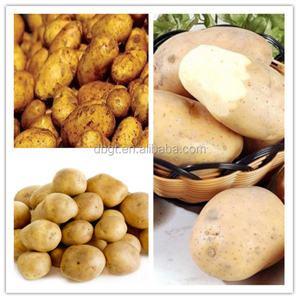 2014 New Crop Top Quality Fresh Cheap Potato Price To India