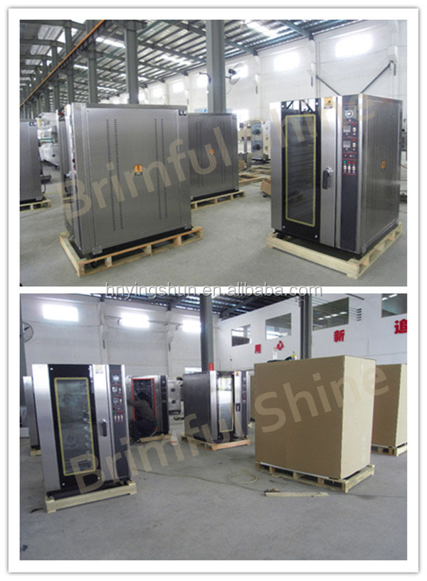 10 trays steam function gas convection oven