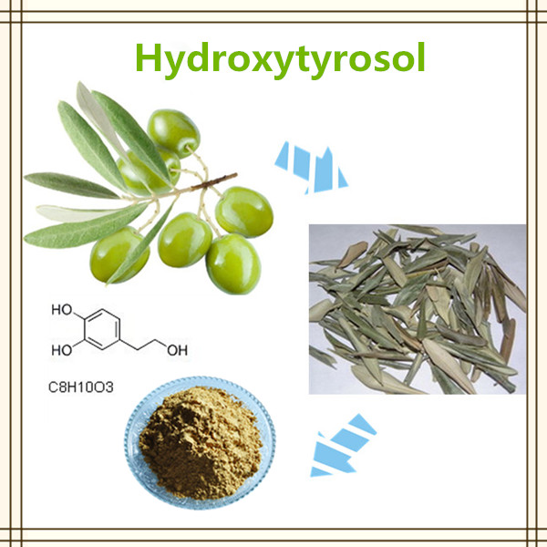 Pure cosmetic ingredients oleuropein hydroxytyrosol 98% organic olive leaf extract hydroxytyrosol