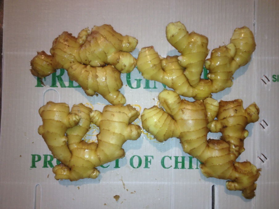 US export standard ginger factory export directly