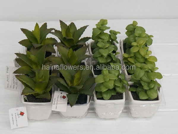 最高の販売高シミュレーションミニ人工多肉植物熱帯植物シリーズ仕入れ・メーカー・工場