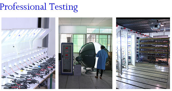 Professional Testing.jpg