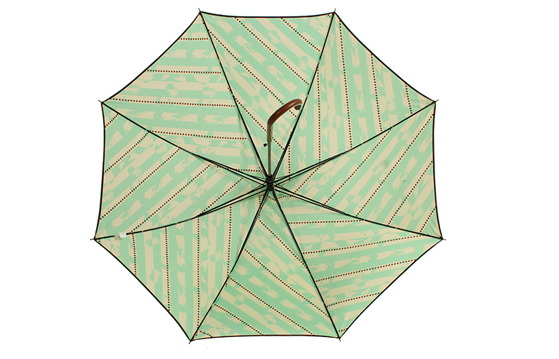 ラグジュアリーグリーン熱伝達の傘、 アーク46インチドーム繭紬の生地問屋・仕入れ・卸・卸売り