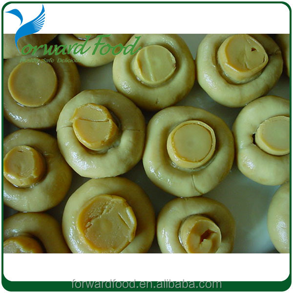 preserved canned mushroom in brine