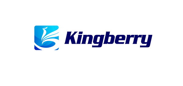 2014 new ecig anarchist mod 1:1 clone high quality Anarchist mod from kingberry