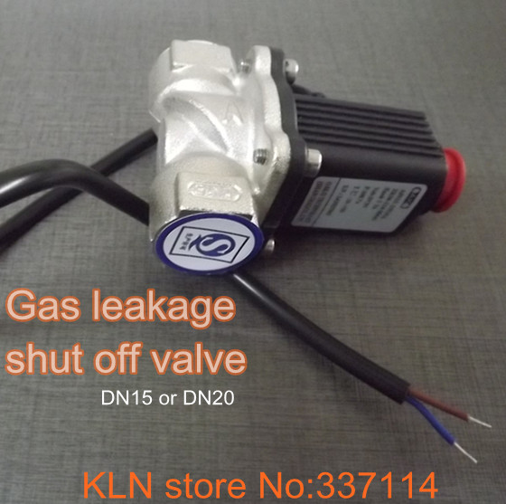 gas leakage shut off valve .jpg