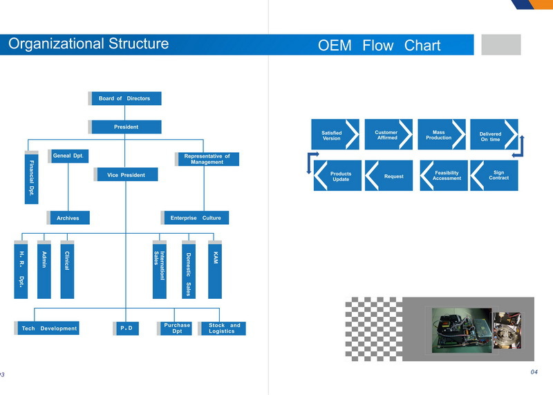 Company Structures and OEM Flow Chart.jpg