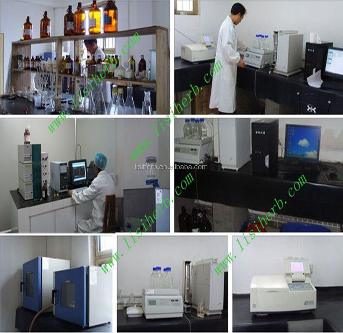 cocoa extract flavonoid improves cerebral blood flow and cognition.