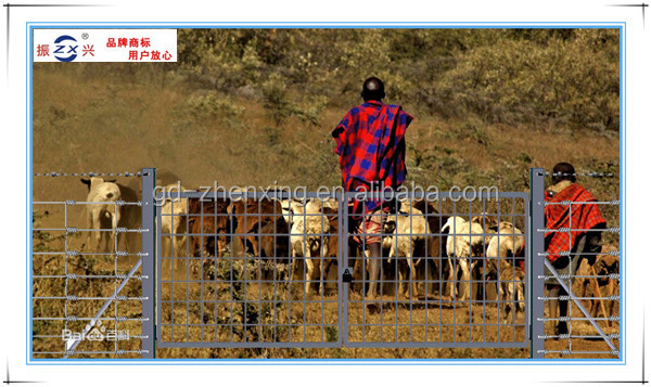 中国のサプライヤー卸売熱い- 亜鉛亜鉛メッキ羊のフェンス( zx- nlw003)問屋・仕入れ・卸・卸売り