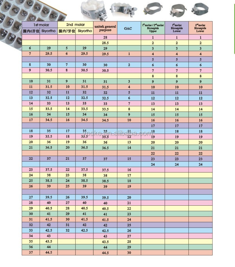 Orthodontic Premolar Band With Buccal Tube 24 Sizes Buy Good Quality