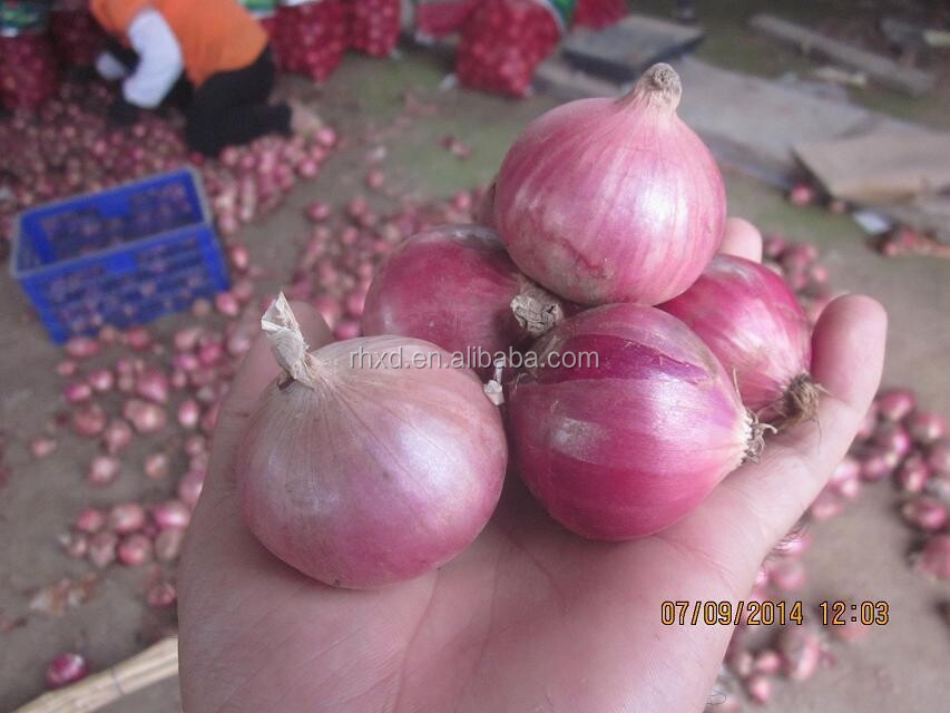 2014 new crop fresh red onion with good price